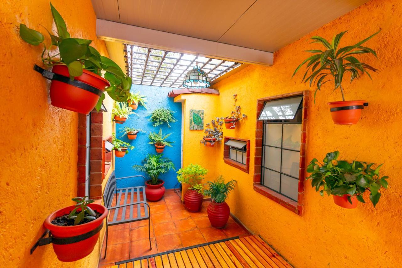 مدينة مكسيكو Mex Suites Casa Azul B&B المظهر الخارجي الصورة