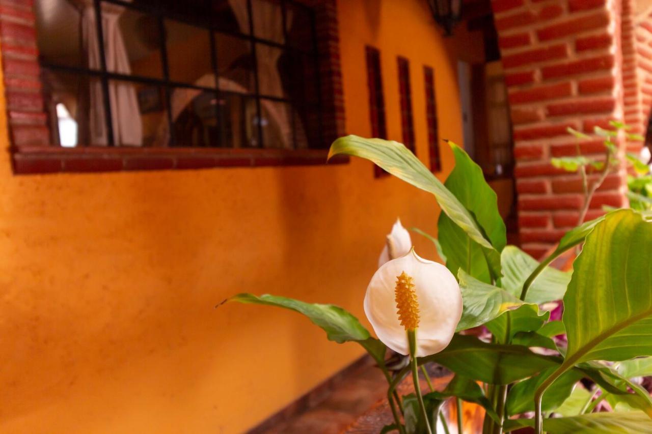 مدينة مكسيكو Mex Suites Casa Azul B&B المظهر الخارجي الصورة
