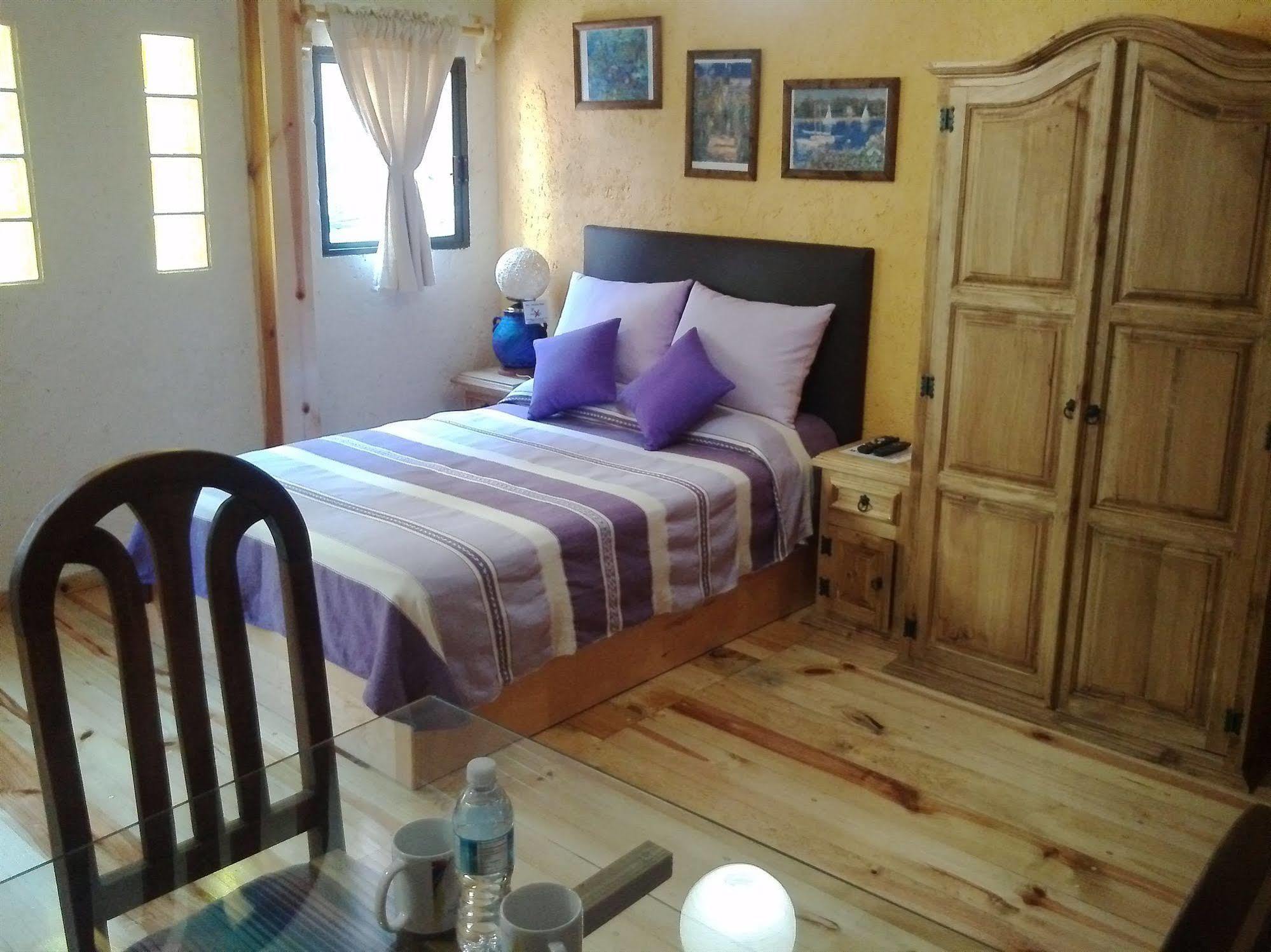 مدينة مكسيكو Mex Suites Casa Azul B&B المظهر الخارجي الصورة