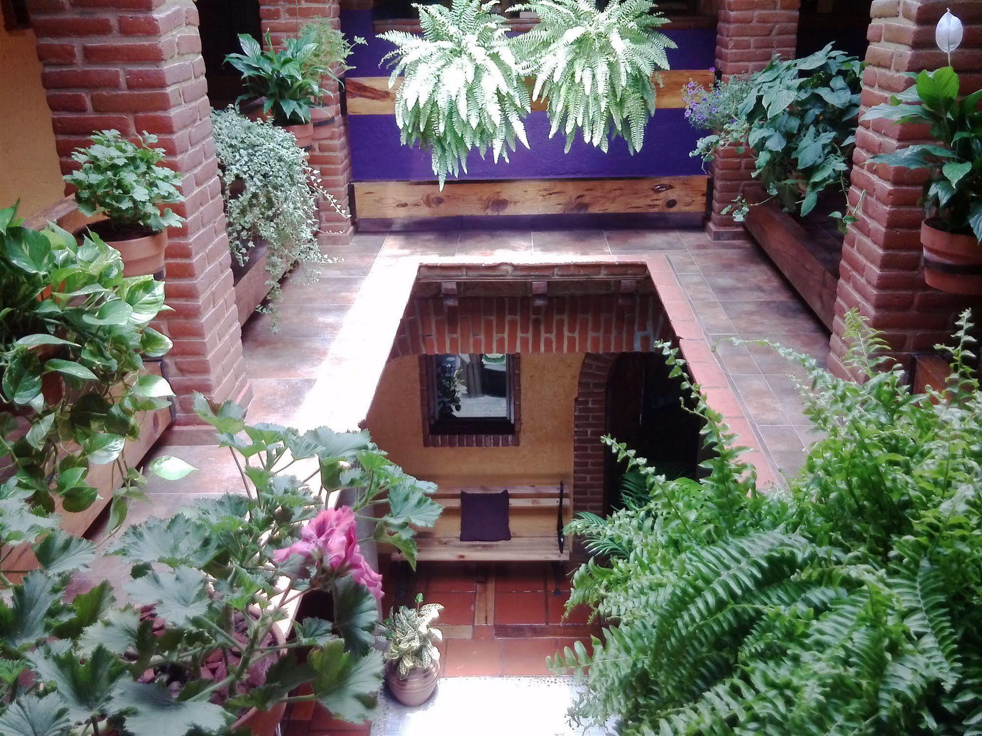 مدينة مكسيكو Mex Suites Casa Azul B&B المظهر الخارجي الصورة